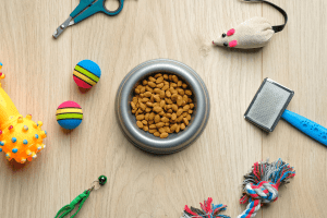 accessori per gatti