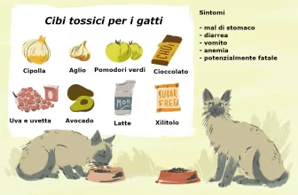 Alimenti sconsigliati per il gatto