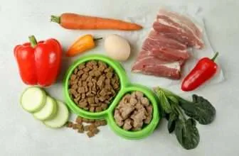 Sostituire il cibo industriale al gatto