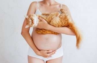 La toxoplasmosi nel gatto