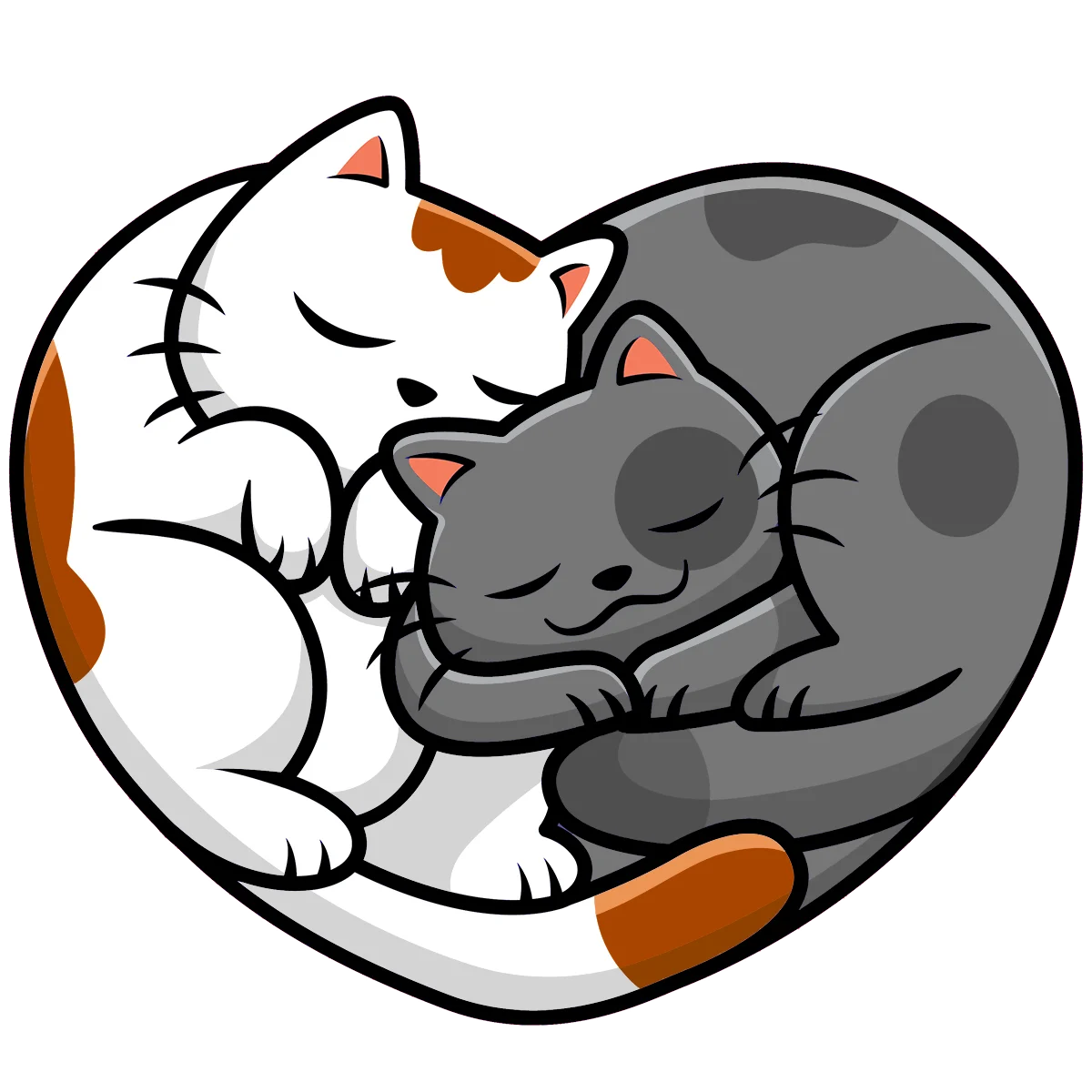 Comportamento gatto 1