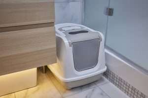 Dove mettere la lettiera del gatto in casa